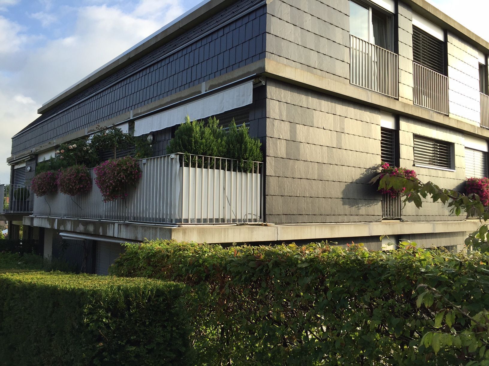 Baumgartner Immobilien AG