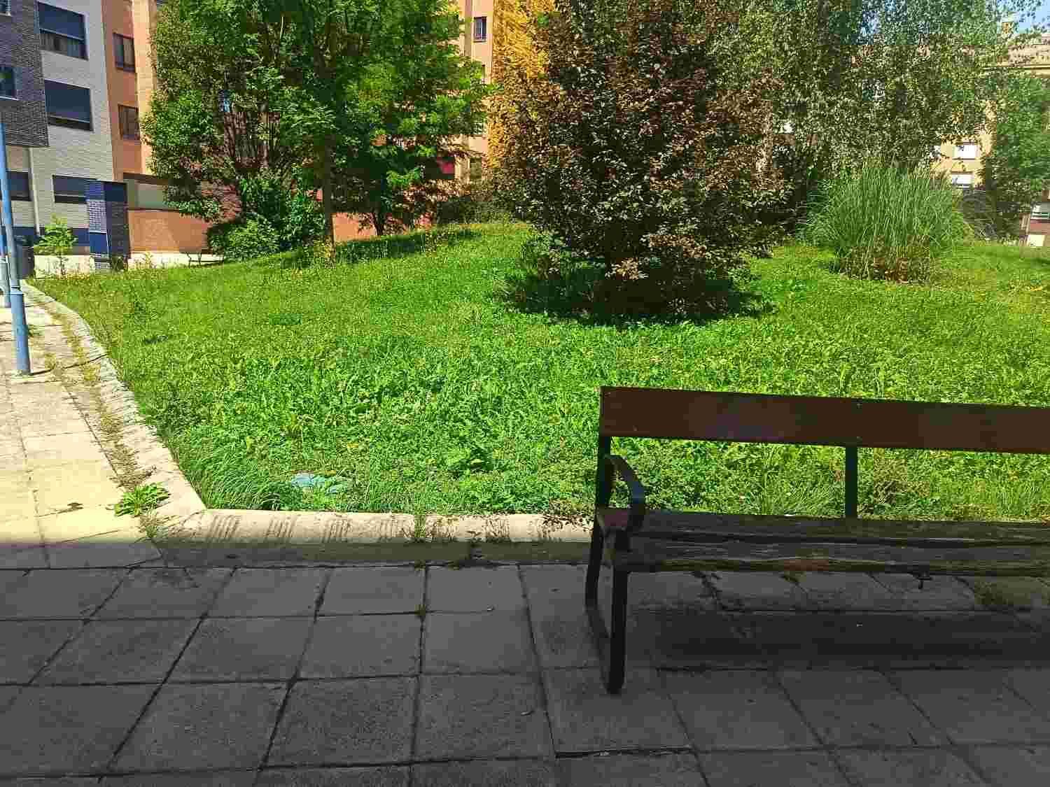 Banco de parque en un sendero pavimentado junto a un patio con césped, árboles y un edificio de apartamentos.