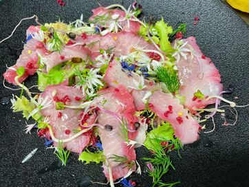Alpinlachs Primavera
