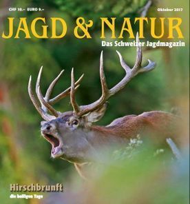 Restaurant Bären GmbH