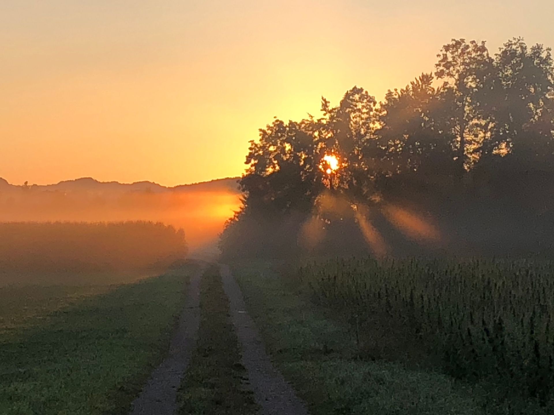 Restaurant Bären GmbH