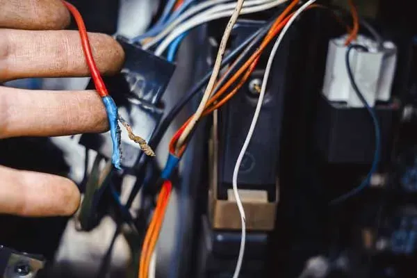 Uma pessoa está segurando um monte de fios na mão.