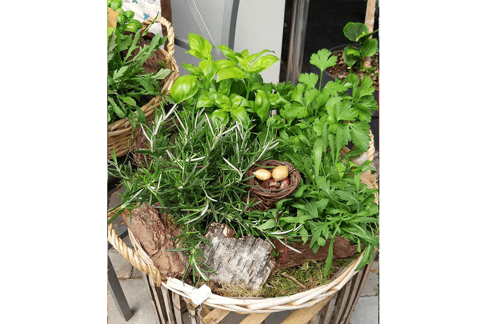 Kräuterkorb