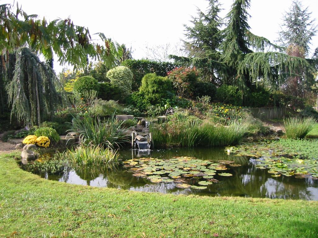 Bassin bâché, Entretien jardin à Novéant-sur-Moselle