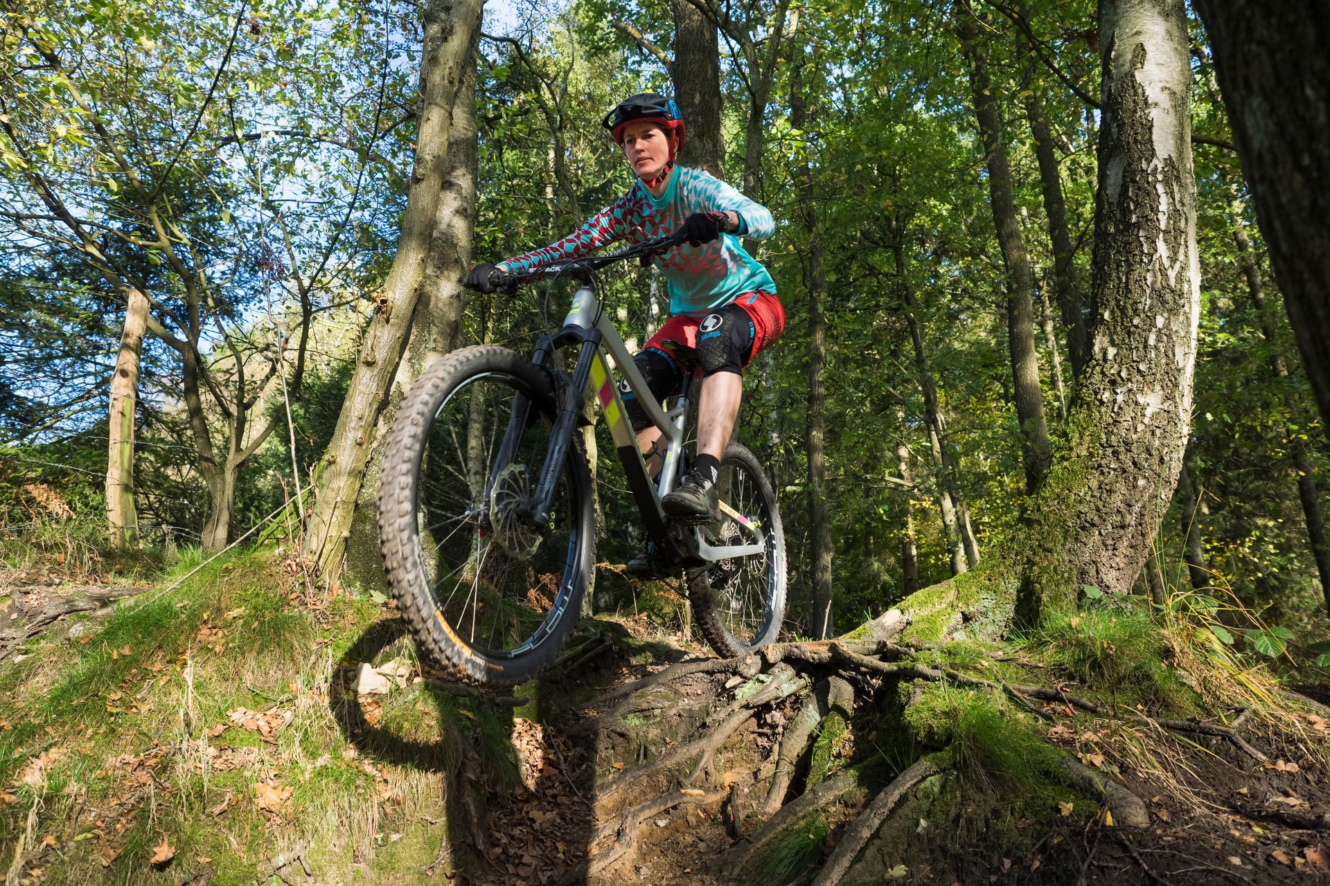 Eine Person fährt mit dem Mountainbike auf einem Trail.