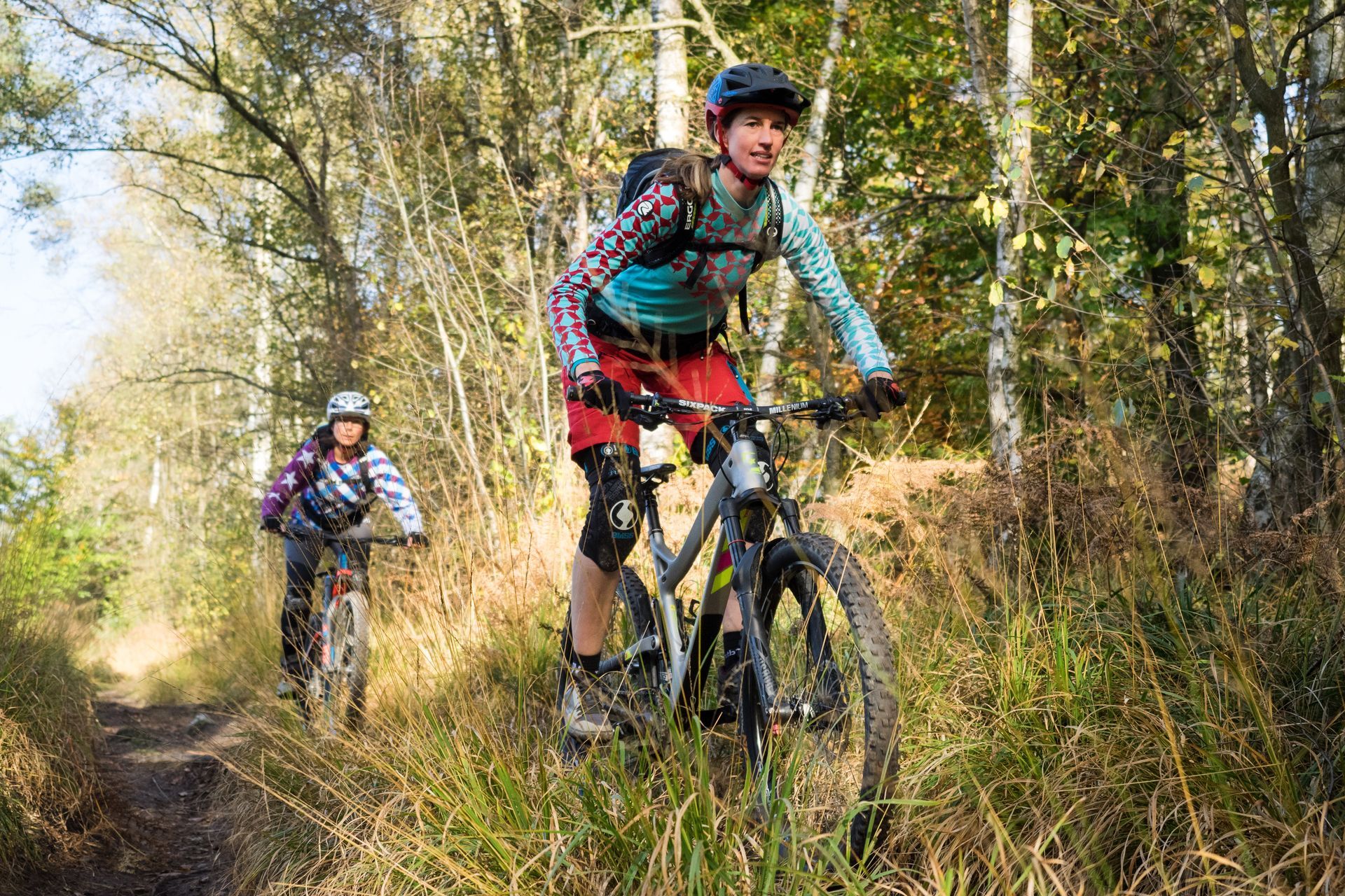 Zwei Personen fahren mit dem Fahrrad auf einem Waldweg.