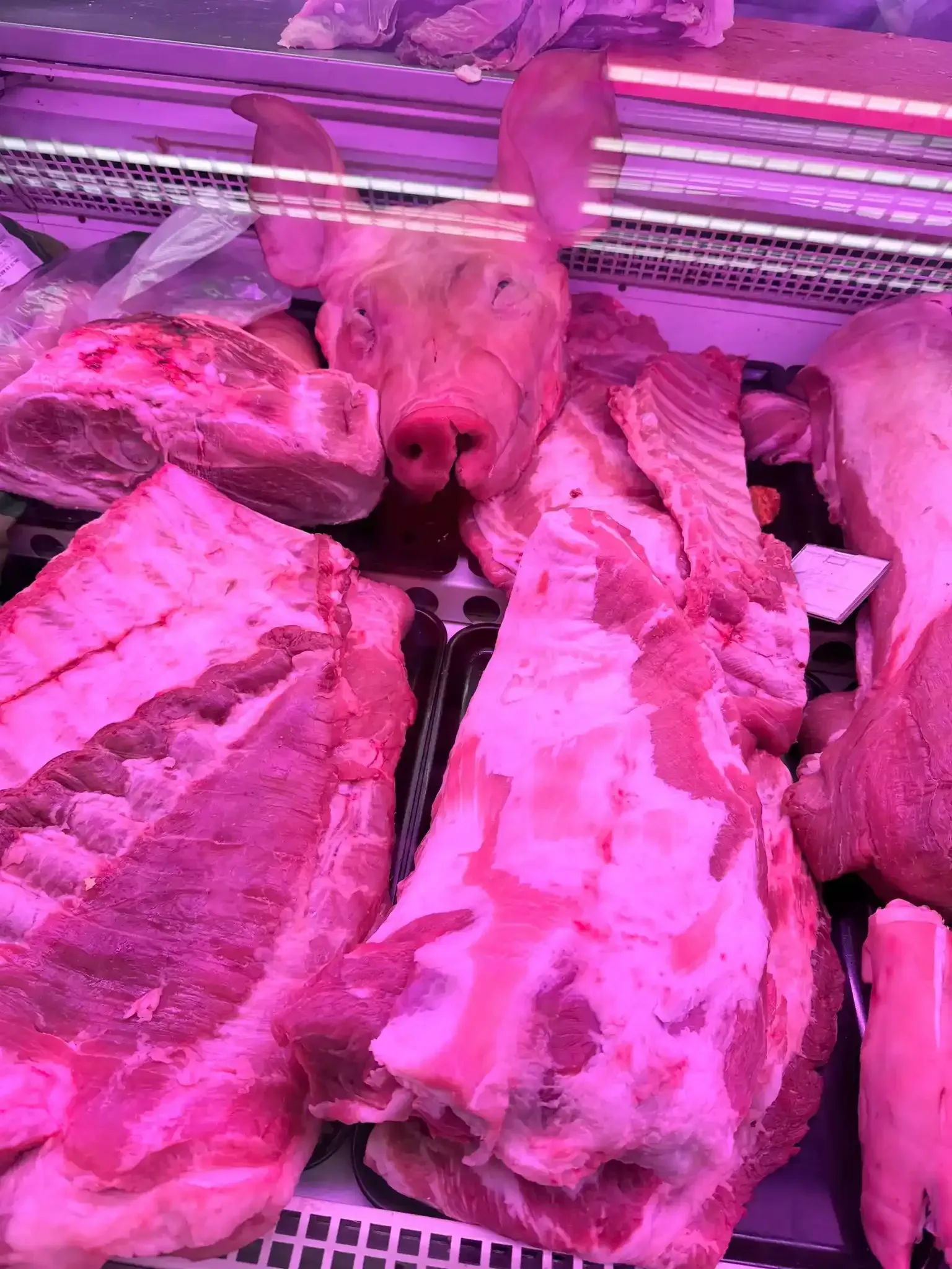 Una cabeza de cerdo cruda y grandes trozos de carne de cerdo
