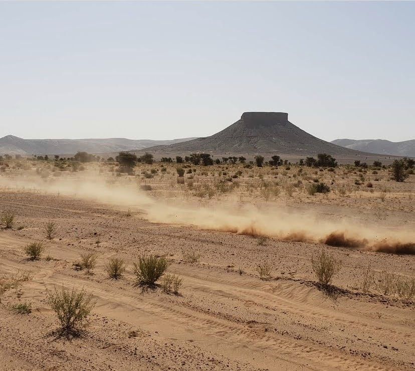 Una nube de polvo deja su estela sobre un vehículo en un camino de tierra; paisaje desértico con una meseta a lo lejos.