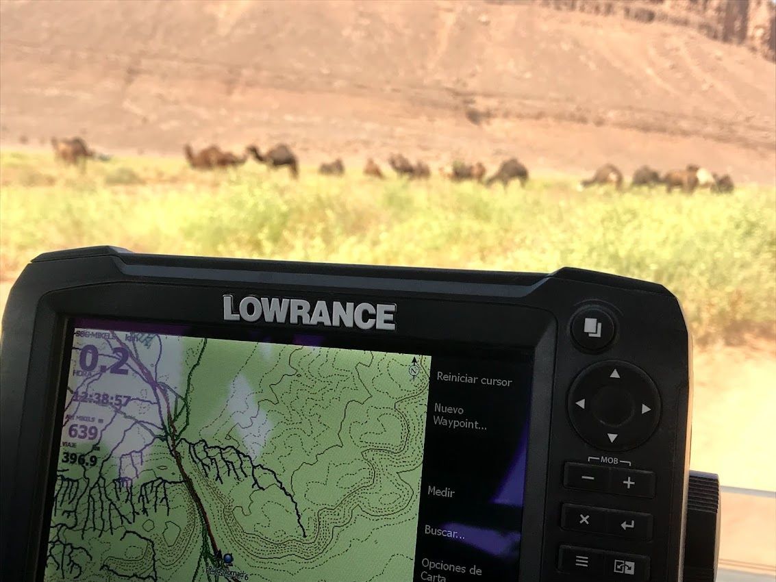 Dispositivo de navegación que muestra un mapa, con camellos pastando en un paisaje desértico al fondo.
