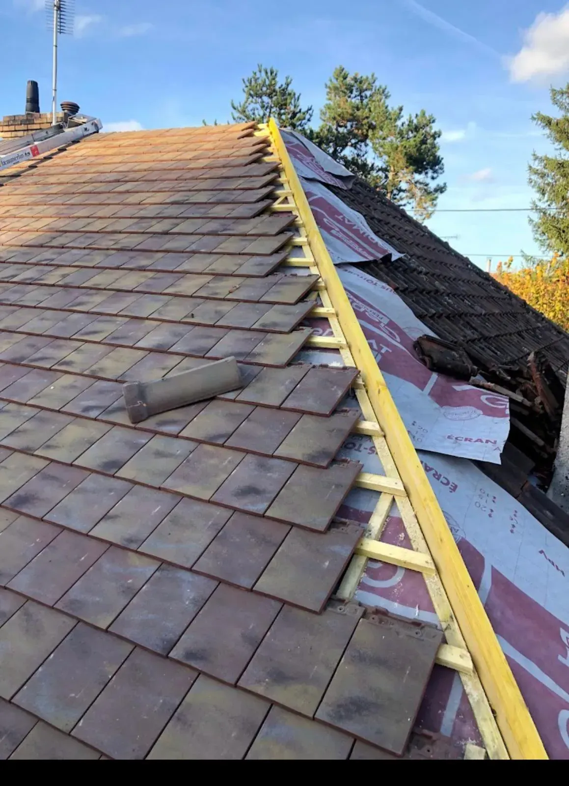 Toiture partiellement en tuiles avec sous-toiture apparente et charpente en bois.