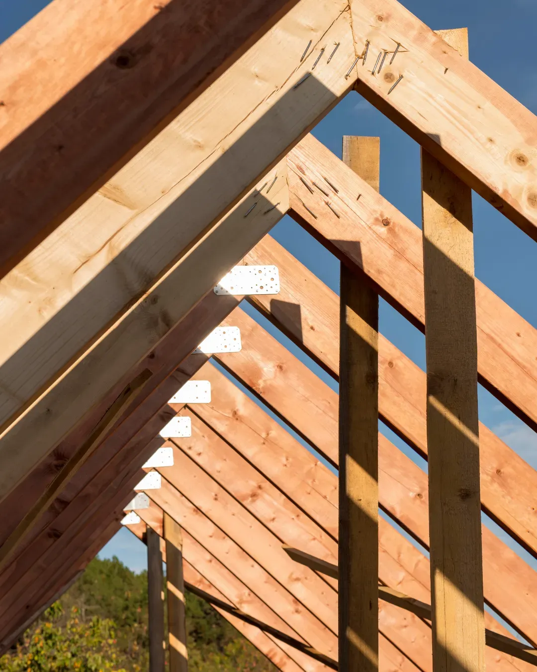 Chevrons en bois d'une charpente de toit, fixés par des équerres métalliques.