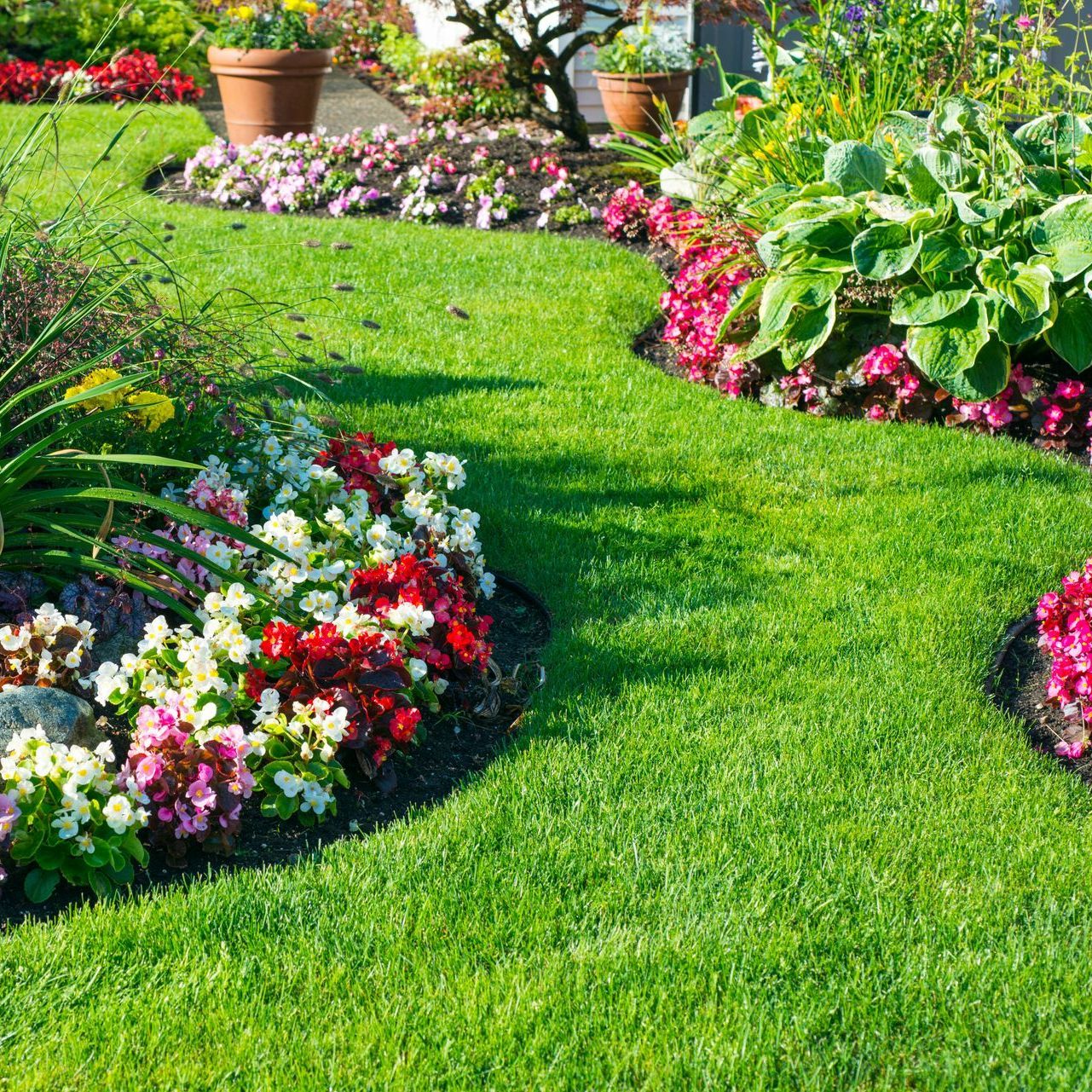 Création de jardin sur mesure