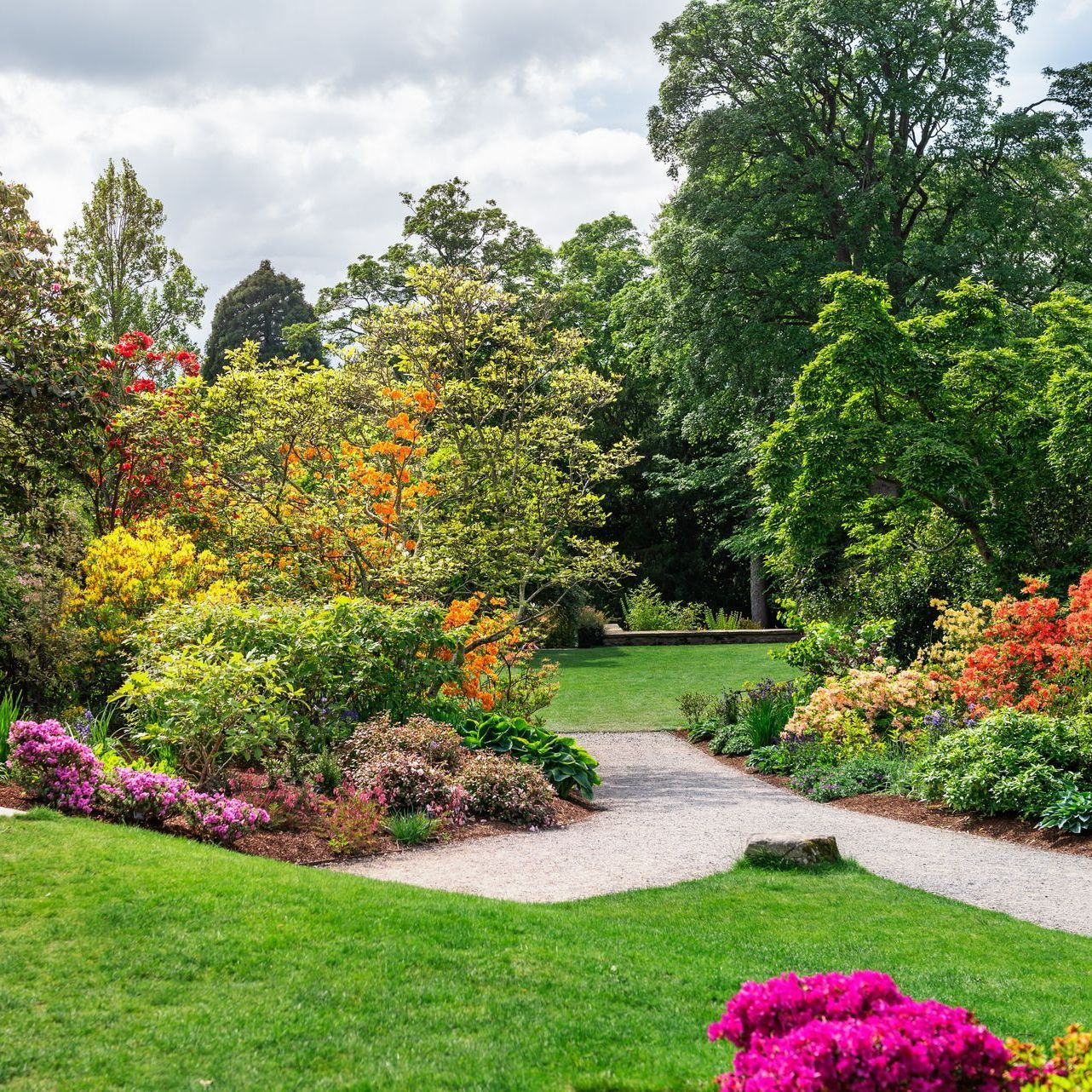 Jardin coloré