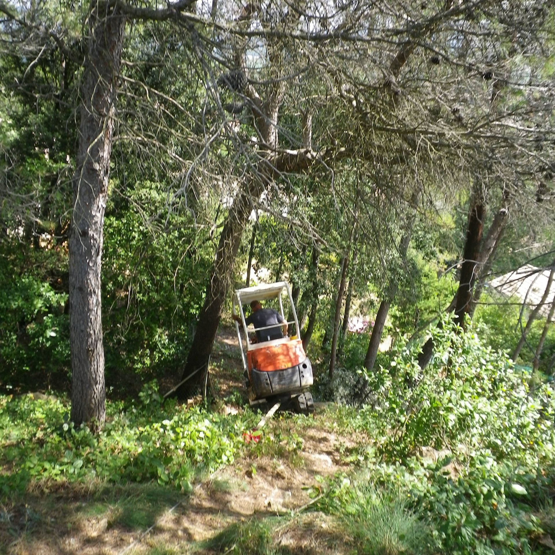 Débroussaillage en cours