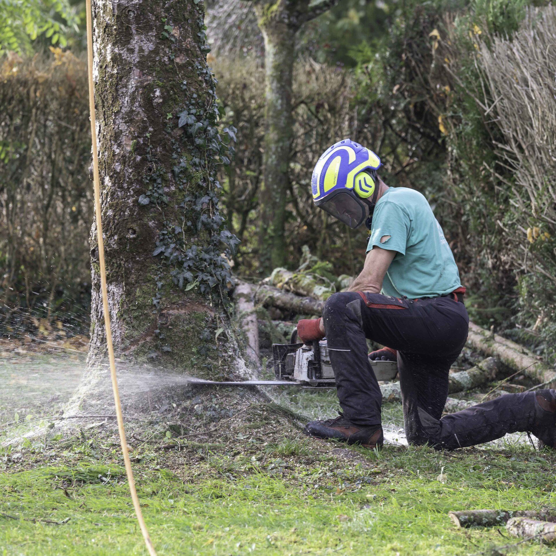 démontage, abattage 4