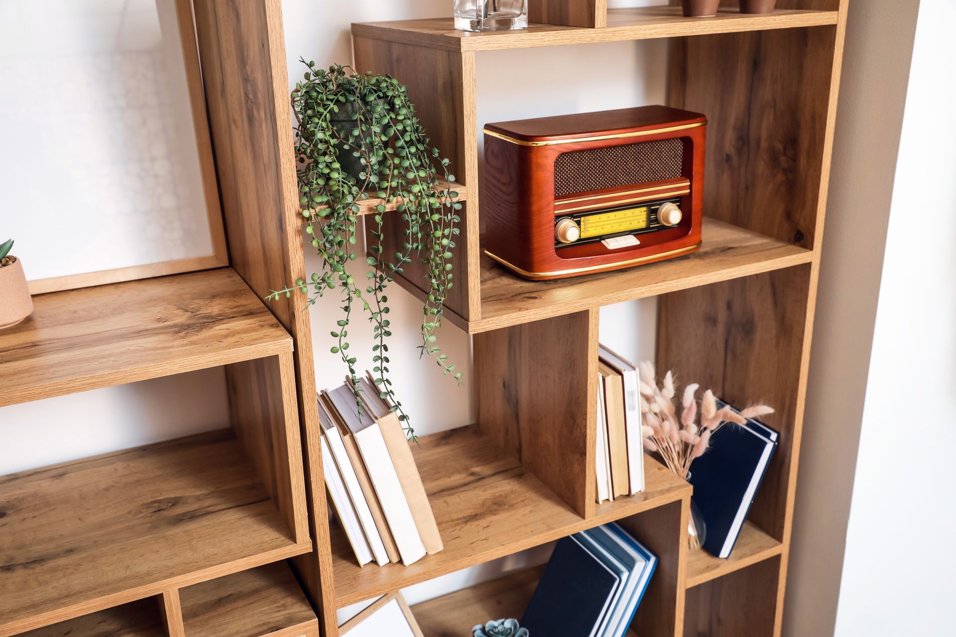 Livres, plante et petite radio vintage posés dans une bibliothèque en bois