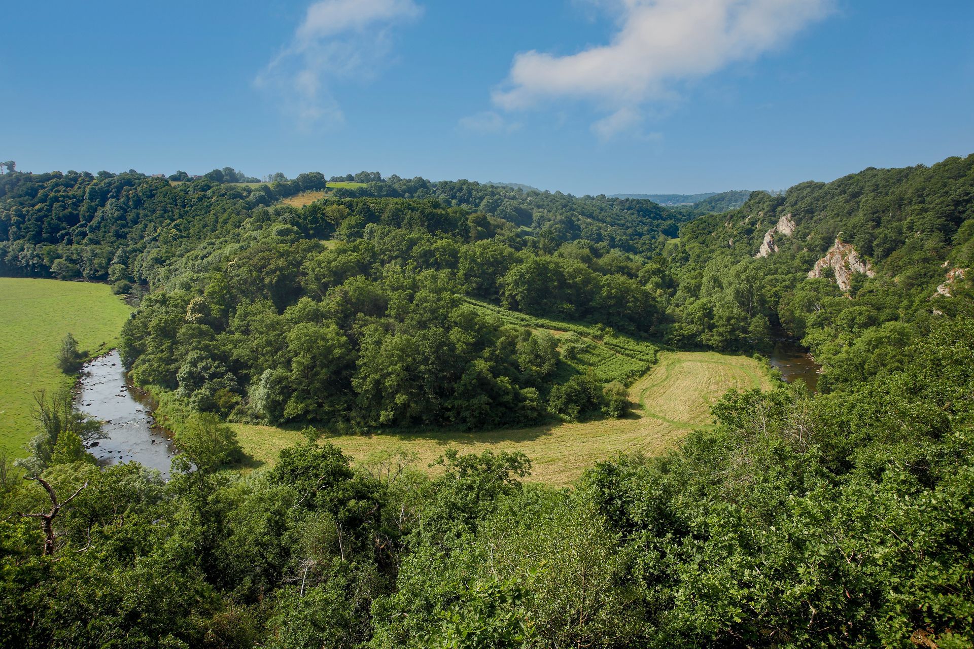 Vue aérienne de la forêt et des méandres de la Sarthe