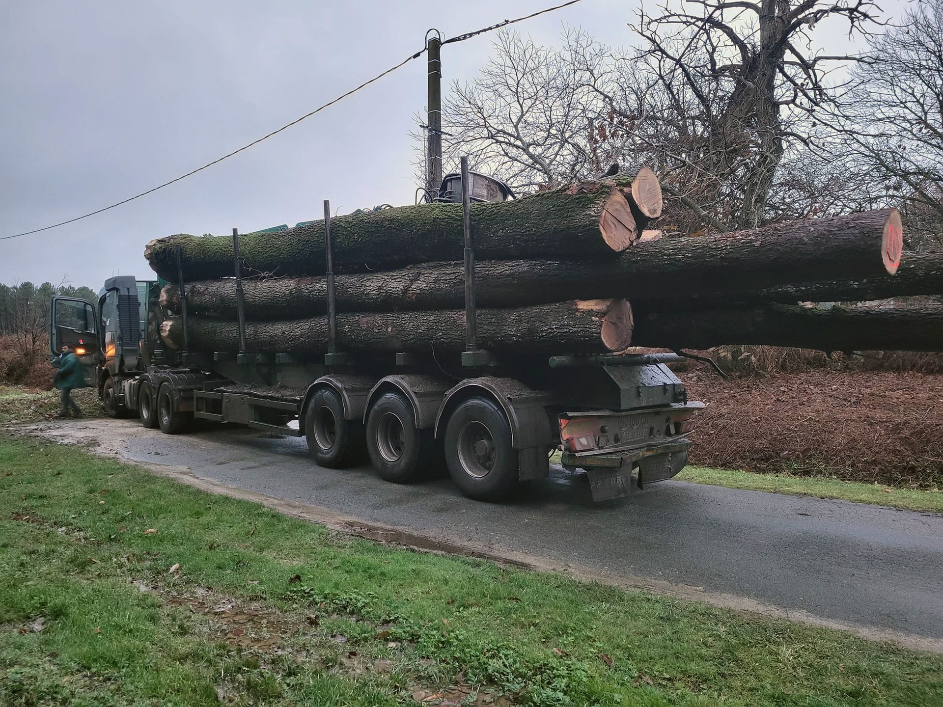 Une pile de tronc d'arbre sur un poids lourd