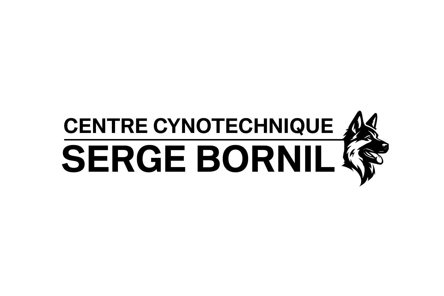 Logo Serge BORNIL