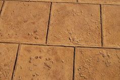 Un primer plano de un piso de ladrillo con huellas de patas.