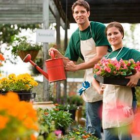 Hombre regando flores, mujer sosteniendo una bandeja de flores en un invernadero.