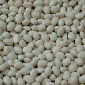 Frijoles blancos, primer plano, que abarca toda la vista. Frijoles secos, ovalados y de varios tamaños.