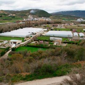 Complejo de invernaderos en un valle, con edificios, campos y colinas. Cielo nublado.