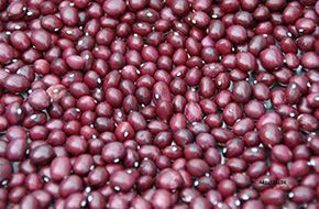 Vista de cerca de una pila de pequeños frijoles de color rojo oscuro con algunas motas blancas.