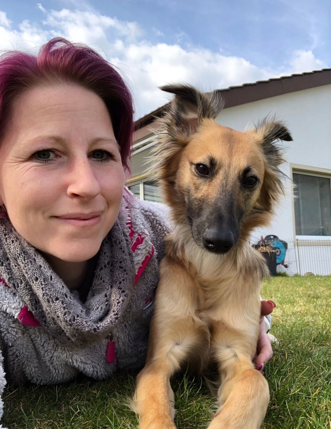 Nadia Meier - DogGrooming Djambo