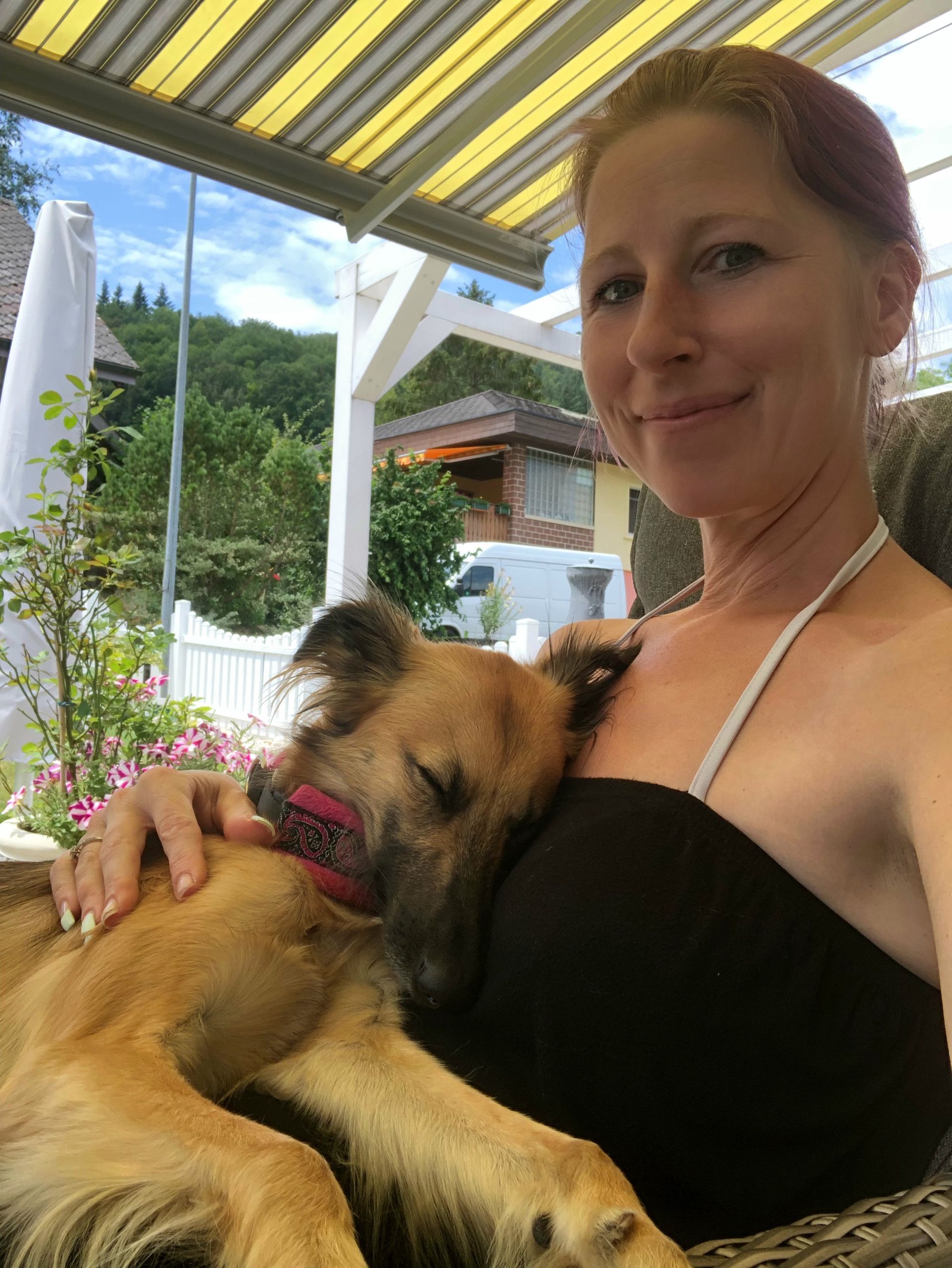 Nadia Meier - DogGrooming Djambo