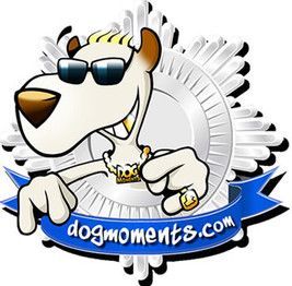 Dogmoments - DogGrooming Djambo