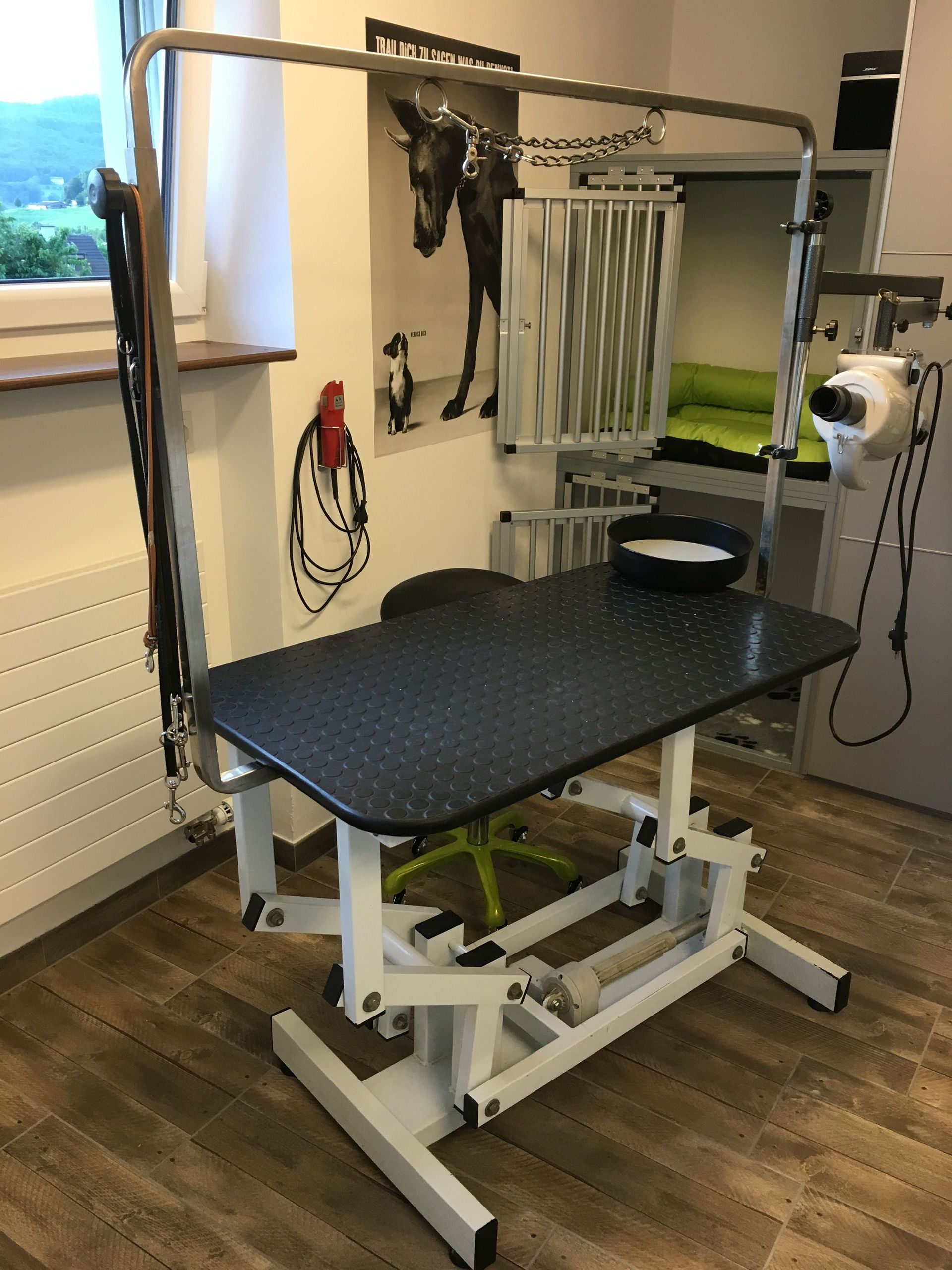 Hundecoiffeur - DogGrooming Djambo