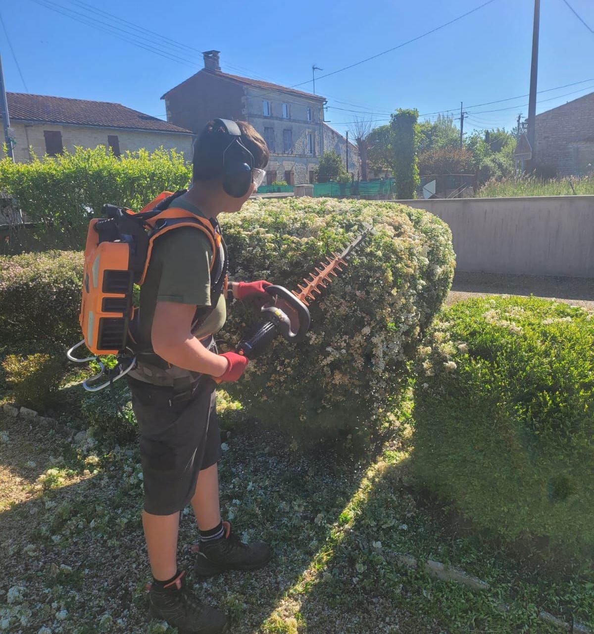 Tondeuse à gazon