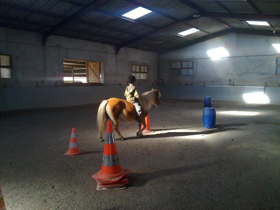 Cavalier dans le manège