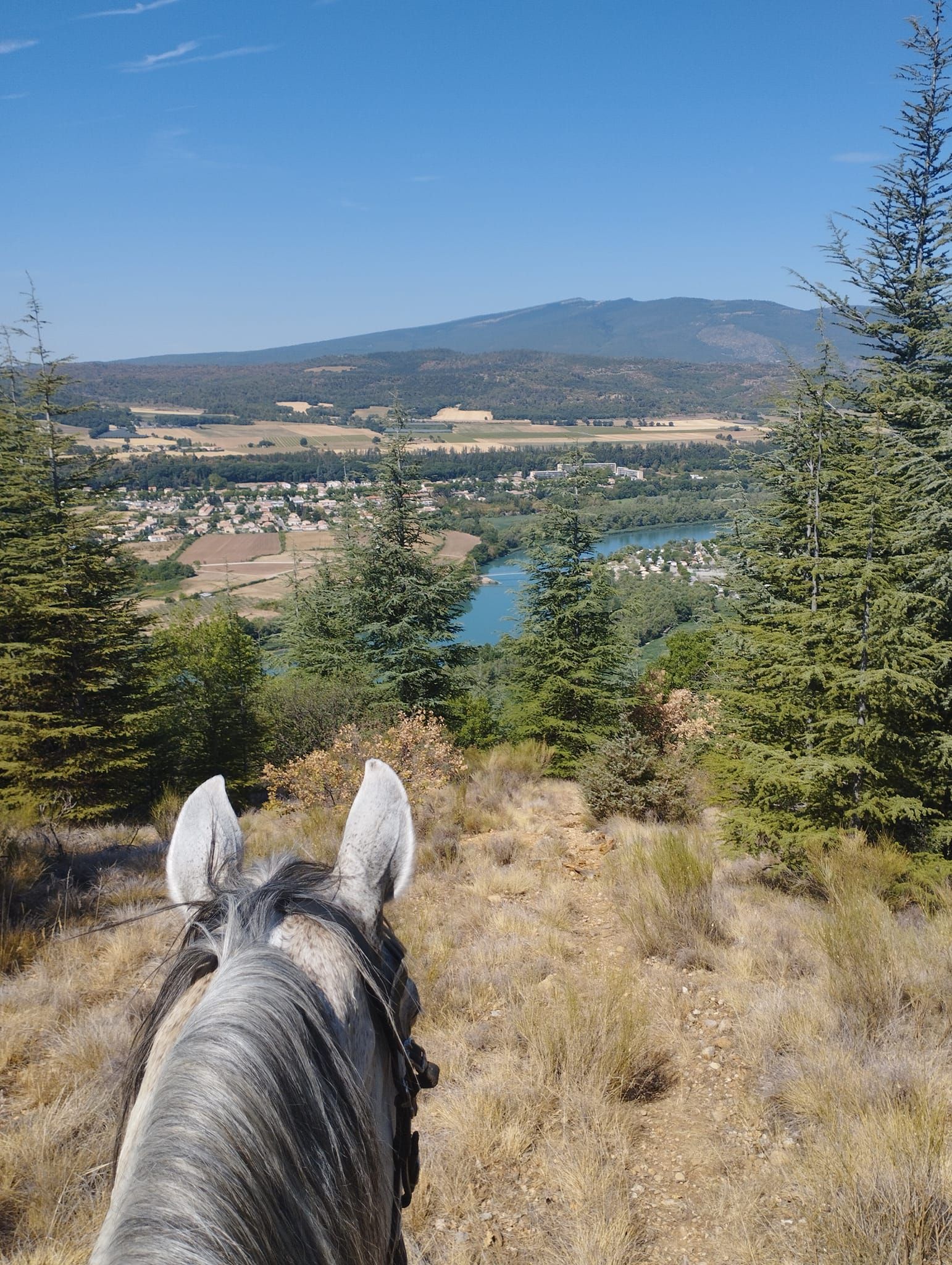 Vue sur un lac depuis un cheval