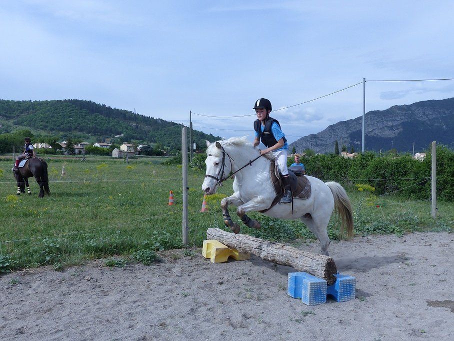 Poney blanc qui saute un obstacle