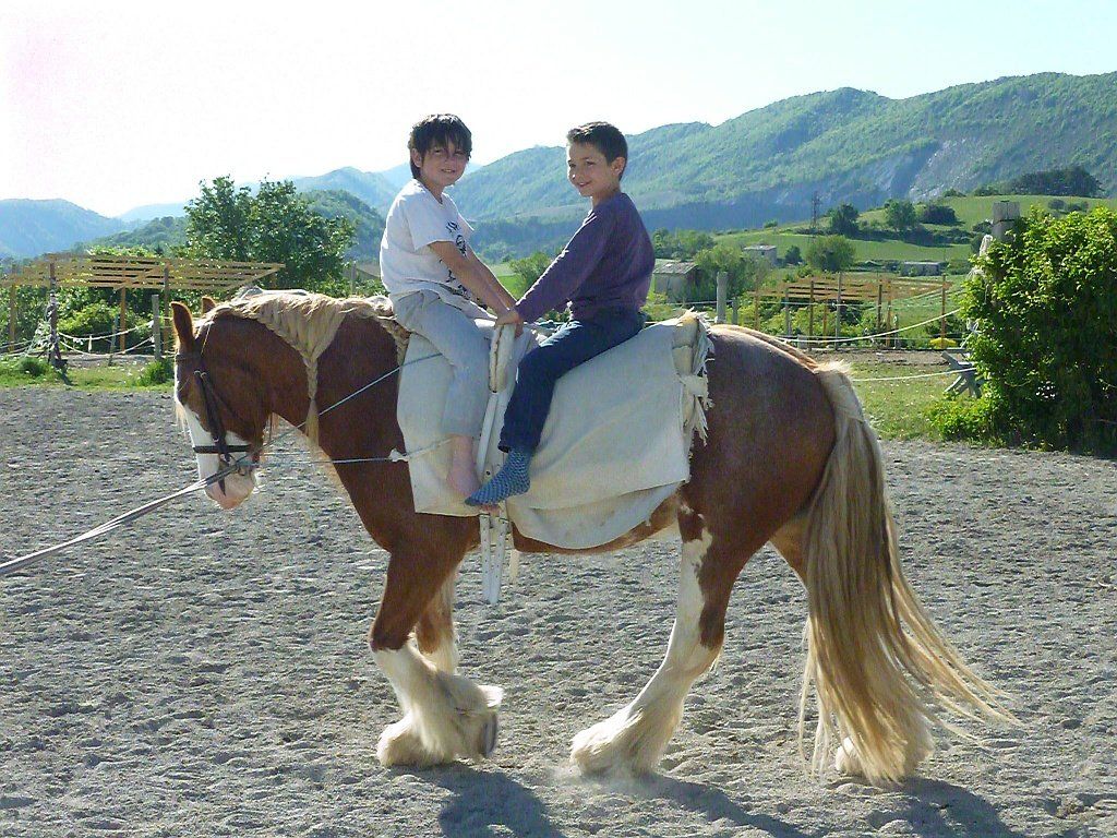 Deux personnes pratiquant la voltige