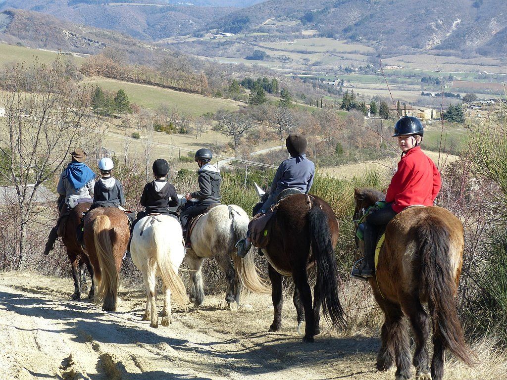 Groupe de poneys en randonnée