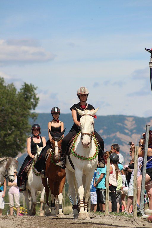 Randonnée à cheval