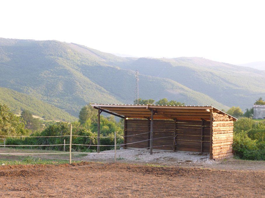 Abris pour chevaux