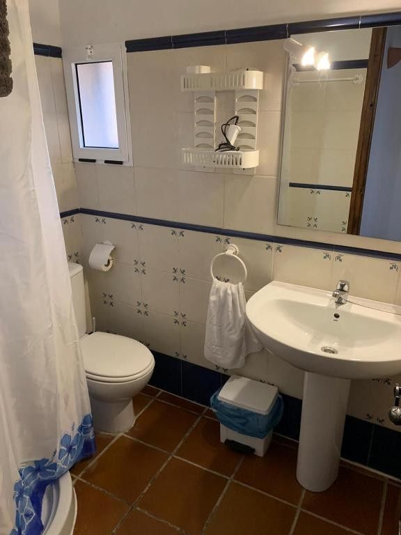 Baño pequeño con inodoro, lavabo con pedestal, espejo, cortina de ducha y suelo de baldosas de terracota.