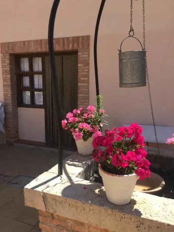 Icono de marcador de posición gris claro con un sol y montañas sobre fondo blanco