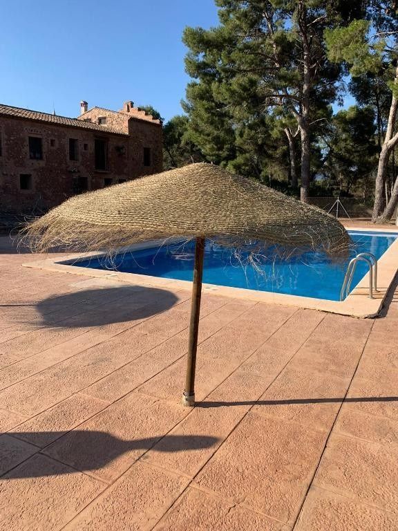 Sombrilla de paja junto a la piscina, al lado de una piscina azul en un patio soleado.
