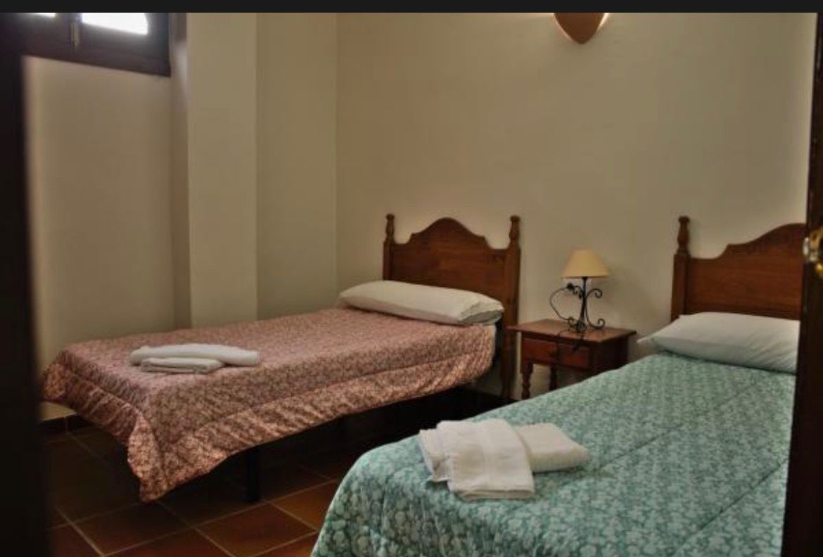 Habitación de hotel pequeña con dos camas individuales, sábanas estampadas y una lámpara de noche entre ellas.