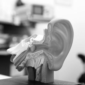 Dr. med. Bernhard Eistert, Facharzt für HNO-Heilkunde. Plastische Operationen. Spezielle Kopf-Hals Chirurgie, Schrozberg, Rothenburg, Bild