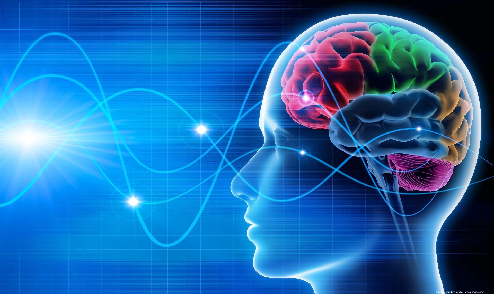 Grafische Darstellung eines menschlichen Gehirns mit farblich markierten Arealen und neuronalen Signalen.