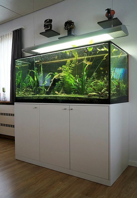 Aquariummöbel
