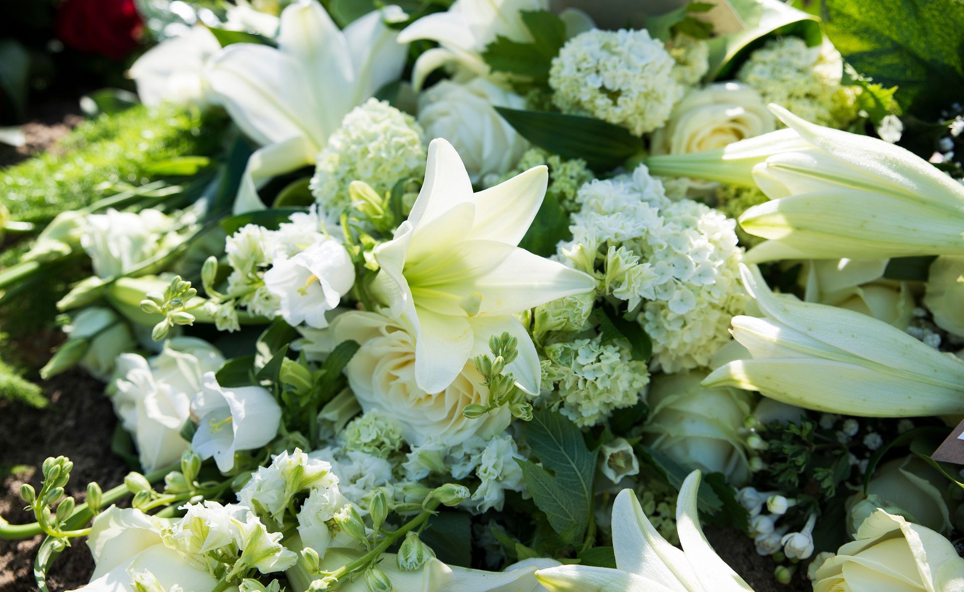 Un bouquet de fleurs composé de lys blancs et d'hortensias verts.