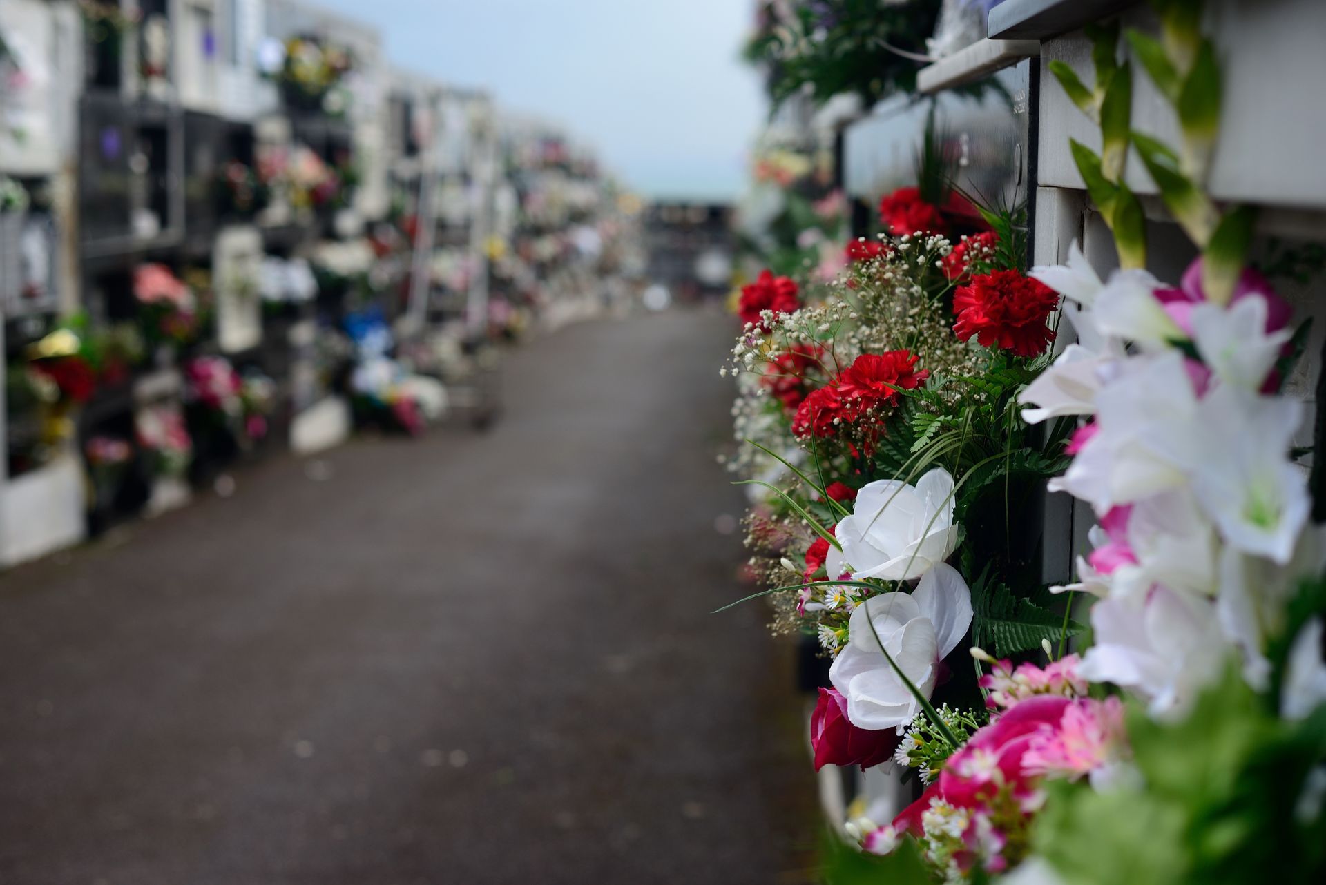Allée de cimetière bordée de fleurs, avec des bouquets colorés et des pierres tombales floues de part et d'autre.