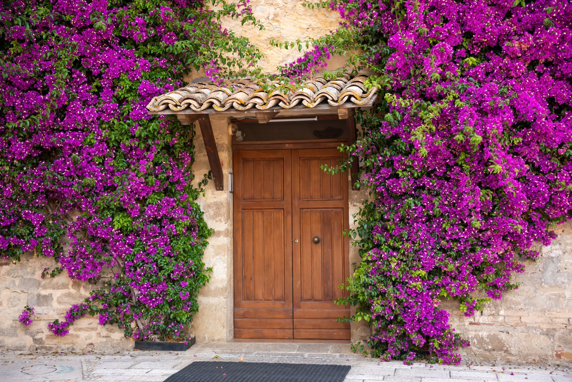 Porte en pierre recouverte de bougainvillées d'un violet éclatant, avec une porte en bois et un auvent carrelé.